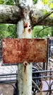 Захоронение ID 3565796