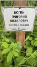Захоронение ID 3565860