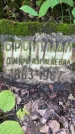 Захоронение ID 3565891