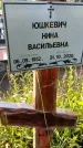 Захоронение ID 3566051
