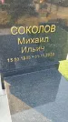Захоронение ID 3566052