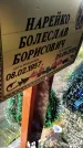 Захоронение ID 3566065