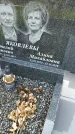 Захоронение ID 3566113