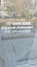 Захоронение ID 3566115