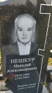 Захоронение ID 3566139