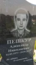 Захоронение ID 3566140