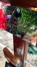 Захоронение ID 3566157
