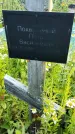 Захоронение ID 3566168