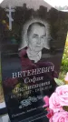 Захоронение ID 3566186