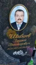 Захоронение ID 3566191
