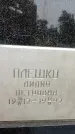 Захоронение ID 3566265