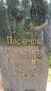 Захоронение ID 3566266