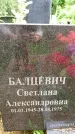 Захоронение ID 3566358
