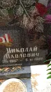 Захоронение ID 3566378