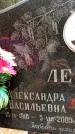 Захоронение ID 3566380