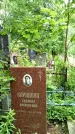 Захоронение ID 3566396