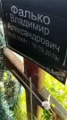 Захоронение ID 3566411
