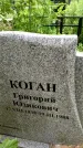 Захоронение ID 3566443