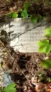 Захоронение ID 3566480