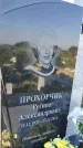 Захоронение ID 3566482