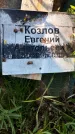 Захоронение ID 3566496