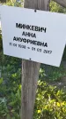 Захоронение ID 3566502