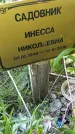 Захоронение ID 3566592