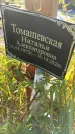 Захоронение ID 3566638