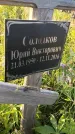 Захоронение ID 3566652