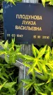 Захоронение ID 3566668