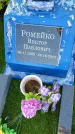 Захоронение ID 3566709