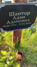 Захоронение ID 3566748