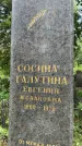 Захоронение ID 3566810