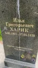 Захоронение ID 3566890