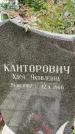 Захоронение ID 3566904