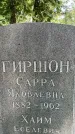Захоронение ID 3566954