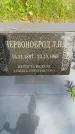 Захоронение ID 3566964