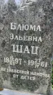 Захоронение ID 3566999