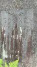 Захоронение ID 3567046