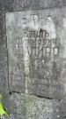 Захоронение ID 3567057