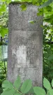 Захоронение ID 3567112