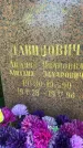 Захоронение ID 3567124