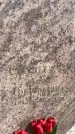 Захоронение ID 3567270