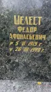Захоронение ID 3567497