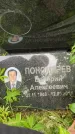 Захоронение ID 3567515