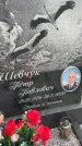 Захоронение ID 3567520