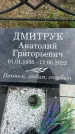 Захоронение ID 3567560
