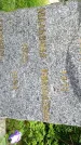 Захоронение ID 3567574