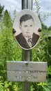 Захоронение ID 3567694