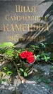 Захоронение ID 3567800